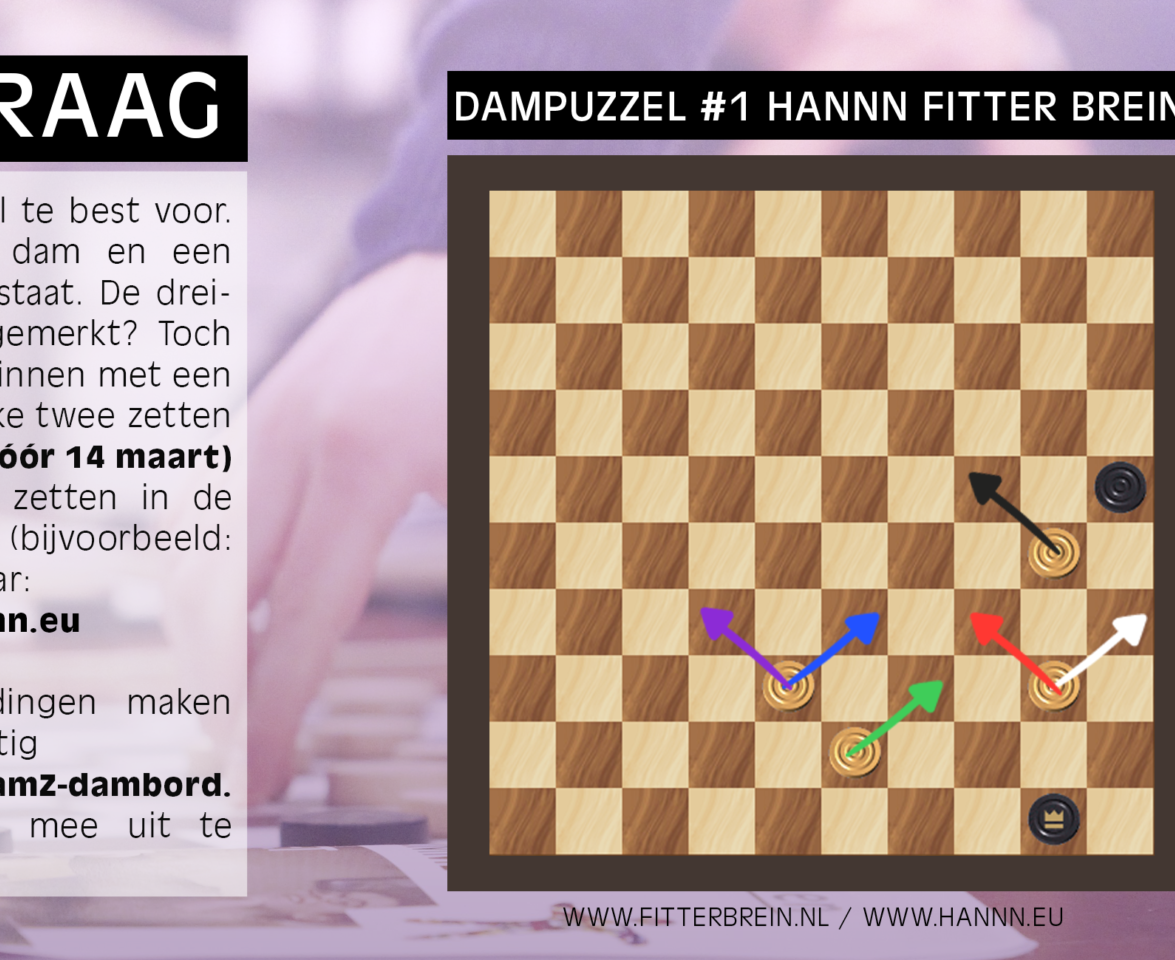 Dampuzzel 1 HANNN Fitter Brein
